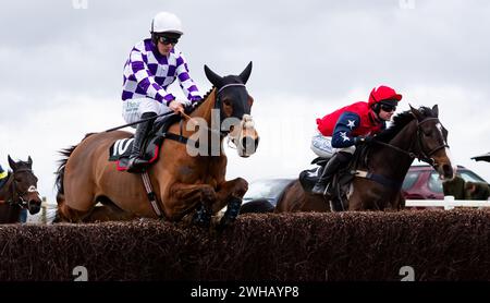 Grace A Vous Enki und James King Dead Heat mit Regatta de Blanc und will Biddick teilen sich den Leidos Coronation Gold Cup, Larkhill, 04.02.2024. Stockfoto