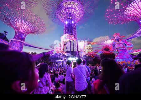 Singapur, Singapurs Gärten an der Bucht. Februar 2024. Touristen sehen die Laternen während der Erleuchtungszeremonie des „River Hongbao“, ein integraler Bestandteil der Mondneujahrsfeiern hier, in Singapurs Gardens by the Bay, 8. Februar 2024. Der Fluss Hongbao findet in diesem Jahr vom 8. Bis 17. Februar an 10 aufeinanderfolgenden Tagen statt. Quelle: Dann Chih Wey/Xinhua/Alamy Live News Stockfoto