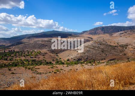 Landschaft Obergaliläa, Israel Stockfoto