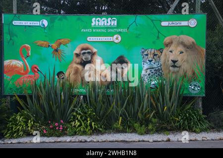 Monkeyland Primatenschutzgebiet, Plettenberg Bay, Südafrika Stockfoto