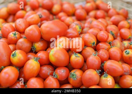 Eine Nahaufnahme eines großen Haufens hellroter reifer Tomaten mit Schwerpunkt auf ihrer frischen, saftigen Qualität und lebendigen Farbe, bereit für den kulinarischen Gebrauch Stockfoto
