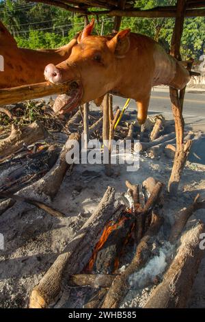 Ganze Schweine draußen auf Holzspießen über einem offenen Holzfeuer an einem Straßenrand in Haina, Dominikanische Republik. Stockfoto