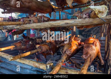 Ganze Schweine draußen auf Holzspießen über einem offenen Holzfeuer an einem Straßenrand in Haina, Dominikanische Republik. Stockfoto