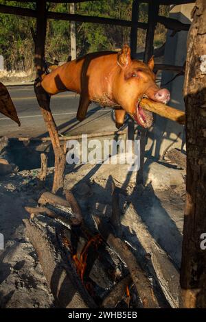 Ganze Schweine draußen auf Holzspießen über einem offenen Holzfeuer an einem Straßenrand in Haina, Dominikanische Republik. Stockfoto