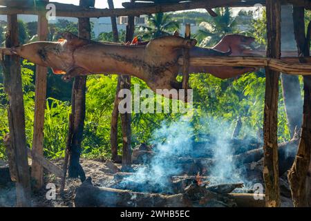 Ganze Schweine draußen auf Holzspießen über einem offenen Holzfeuer an einem Straßenrand in Haina, Dominikanische Republik. Stockfoto