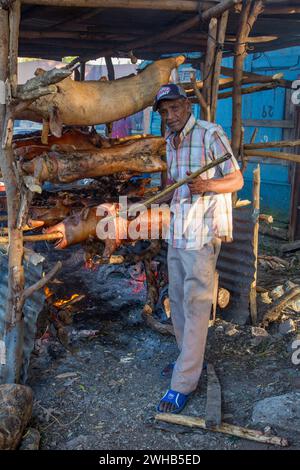 Ganze Schweine draußen auf Holzspießen über einem offenen Holzfeuer an einem Straßenrand in Haina, Dominikanische Republik. Stockfoto