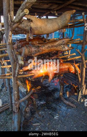 Ganze Schweine draußen auf Holzspießen über einem offenen Holzfeuer an einem Straßenrand in Haina, Dominikanische Republik. Stockfoto