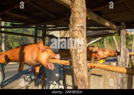Ganze Schweine draußen auf Holzspießen über einem offenen Holzfeuer an einem Straßenrand in Haina, Dominikanische Republik. Stockfoto