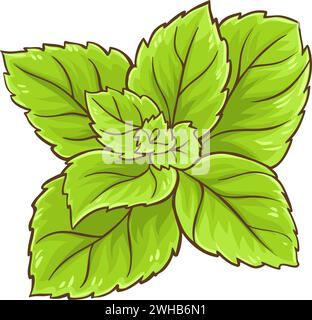 Pfefferminzzweig isolierte farbige Illustration Stock Vektor