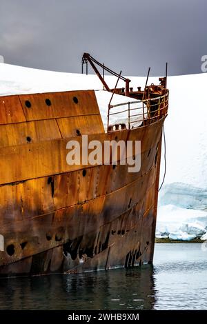 Das gouvernoranische Schiffswrack liegt im Hafen von Foyn, Enterprise Islands, Antarktis. Stockfoto