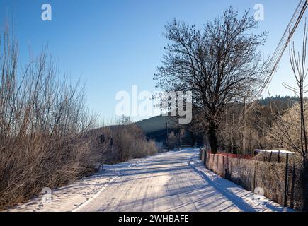 Eine ruhige Winterszene mit einem schneebedeckten Pfad, flankiert von Bäumen, mit einem entfernten Zaun im Hintergrund Stockfoto