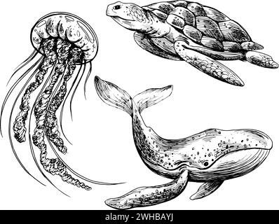 Unterwasserwelt Clipart mit Meerestieren Wal, Schildkröte, Quallen. Grafische Abbildung, handgezeichnet mit schwarzer Tinte. Ein Satz isolierter Elemente EPS Stock Vektor