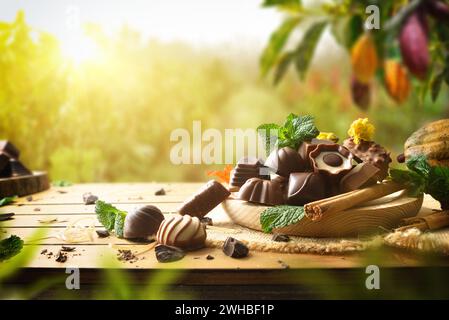 Bio-Pralinen in Holzteller auf Sackleinen auf Holztisch mit Minzblättern und Blumen mit Erntefeldern dahinter. Vorderansicht. Stockfoto