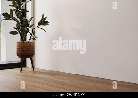 Moderne weiße minimalistische Innenwand, Pflanzen Stockfoto