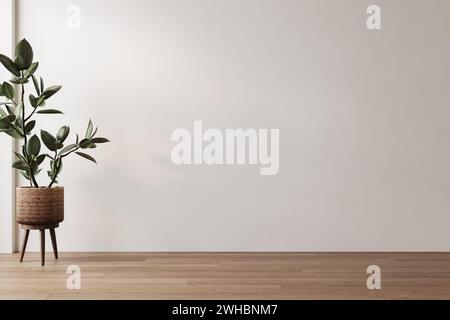 Moderne weiße minimalistische Innenwand, Pflanzen Stockfoto