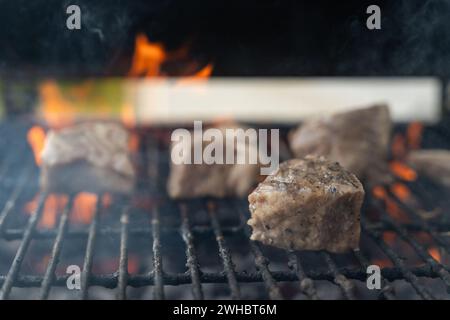 Schweinefleisch auf dem Grill. Eine Nahaufnahme brennender Grillkohlen und Schweinefleisch. Stockfoto