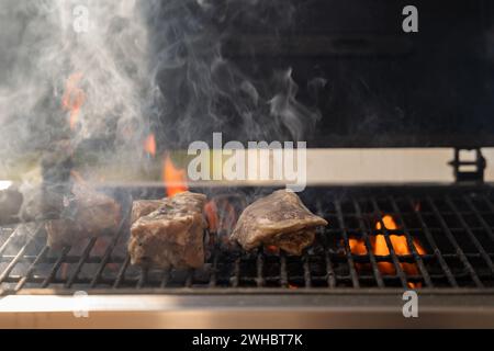 Schweinefleisch auf dem Grill. Eine Nahaufnahme brennender Grillkohlen und Schweinefleisch. Stockfoto
