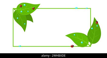 Trendy Banner mit roten Marienkäfern und grünen Blättern mit Wassertropfen isolierte Vektor-Illustration Stock Vektor