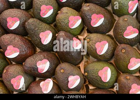 Berlin, Deutschland 07.- 09. Februar 2024: Fruit Logistica - 2024 im Bild: Avocados *** Berlin, Deutschland 07 09 Februar 2024 Fruit Logistica 2024 im Bild Avocados Copyright: XFotostandx/xReuhlx Stockfoto