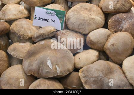 Berlin, Deutschland 07.- 09. Februar 2024: Fruit Logistica - 2024 im Bild: Steinpilze *** Berlin, Deutschland 07 09 Februar 2024 Fruit Logistica 2024 abgebildetes Copyright: XFotostandx/xReuhlx Stockfoto