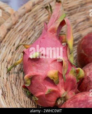 Berlin, Deutschland 07.- 09. Februar 2024: Fruit Logistica - 2024 im Bild: Drachenfrucht *** Berlin, Deutschland 07 09 Februar 2024 Fruit Logistica 2024 im Bild Dragon Fruit Copyright: XFotostandx/xReuhlx Stockfoto