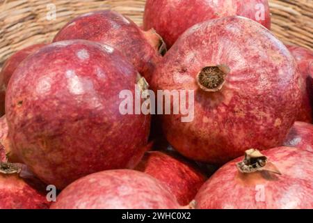 Berlin, Deutschland 07.- 09. Februar 2024: Fruit Logistica - 2024 im Bild: Granatapfel *** Berlin, Deutschland 07 09 Februar 2024 Fruit Logistica 2024 im Bild Granatäpfel Copyright: XFotostandx/xReuhlx Stockfoto