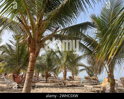 Afrika, Kap Verde Kapverden, Impressionen Sal Cabo Verde Ilhas :: Kapverdische Inseln :: Kapverdische Inseln, Ilhas de cabo verde. Urlaub, Boa Vista , *** Afrika, Kap Verde Kap Verde, Impressionen Sal Cabo Verde Ilhas Kap Verde Inseln Kap verde Inseln, Ilhas de cabo verde Urlaub, Boa Vista , Stockfoto
