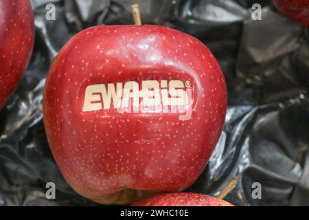 Berlin, Deutschland 07.- 09. Februar 2024: Fruit Logistica - 2024 im Bild: Apfel mit Ewabis Eindruck *** Berlin, Deutschland 07 09 Februar 2024 Fruit Logistica 2024 im Bild Apfel mit Ewabis Eindruck Copyright: XFotostandx/xReuhlx Stockfoto