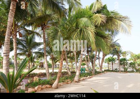 Afrika, Kap Verde Kapverden, Impressionen Sal Cabo Verde Ilhas :: Kapverdische Inseln :: Kapverdische Inseln, Ilhas de cabo verde. Urlaub, Boa Vista , *** Afrika, Kap Verde Kap Verde, Impressionen Sal Cabo Verde Ilhas Kap Verde Inseln Kap verde Inseln, Ilhas de cabo verde Urlaub, Boa Vista , Stockfoto