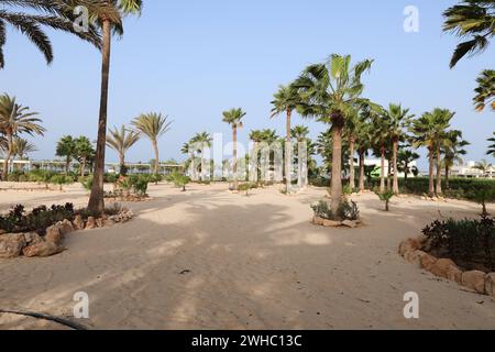 Afrika, Kap Verde Kapverden, Impressionen Sal Cabo Verde Ilhas :: Kapverdische Inseln :: Kapverdische Inseln, Ilhas de cabo verde. Urlaub, Boa Vista , *** Afrika, Kap Verde Kap Verde, Impressionen Sal Cabo Verde Ilhas Kap Verde Inseln Kap verde Inseln, Ilhas de cabo verde Urlaub, Boa Vista , Stockfoto