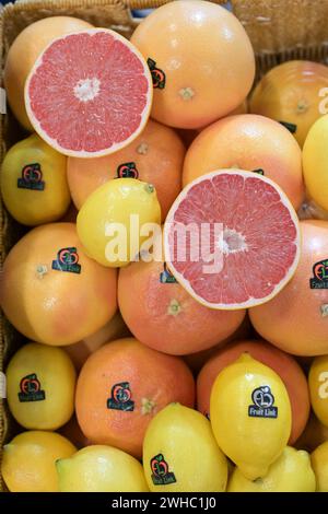 Berlin, Deutschland 07.- 09. Februar 2024: Fruit Logistica - 2024 im Bild: Grapefruit und Zitronen *** Berlin, Deutschland 07 09 Februar 2024 Fruit Logistica 2024 abgebildetes Copyright: XFotostandx/xReuhlx Stockfoto