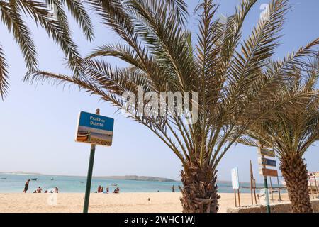 Afrika, Kap Verde Kapverden, Impressionen Sal Cabo Verde Ilhas :: Kapverdische Inseln :: Kapverdische Inseln, Ilhas de cabo verde. Urlaub, Boa Vista , *** Afrika, Kap Verde Kap Verde, Impressionen Sal Cabo Verde Ilhas Kap Verde Inseln Kap verde Inseln, Ilhas de cabo verde Urlaub, Boa Vista , Stockfoto