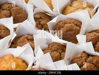 Viele frisch gebackene kleine Muffins Kuchen in Reihen Stockfoto