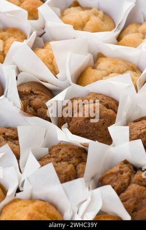 Viele frisch gebackene kleine Muffins Kuchen in Reihen Stockfoto