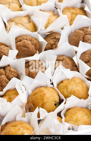 Viele frisch gebackene kleine Muffins Kuchen in Reihen Stockfoto