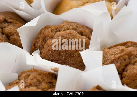 Viele frisch gebackene kleine Muffins Kuchen in Reihen Stockfoto