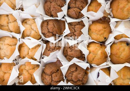 Viele frisch gebackene kleine Muffins Kuchen in Reihen Stockfoto