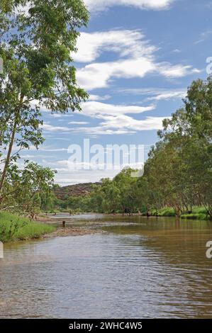 Schwimmen im Fluss todd Stockfoto