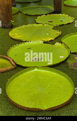 Die antike Stadt in Muang Boran in der Nähe von Bangkok Stockfoto