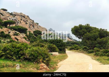 Wanderweg im Naturpark, Parque Natural del Estrecho, Straße von Gibraltar, Costa de la Luz, Andalusien, Spanien Stockfoto