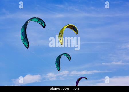 Vier Drachen am blauen Himmel, Tarifa, Cadiz, Costa de la Luz, Andalusien, Spanien Stockfoto