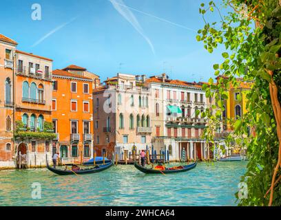 Boote in Venedig auf dem Canal Grande, Italien Stockfoto