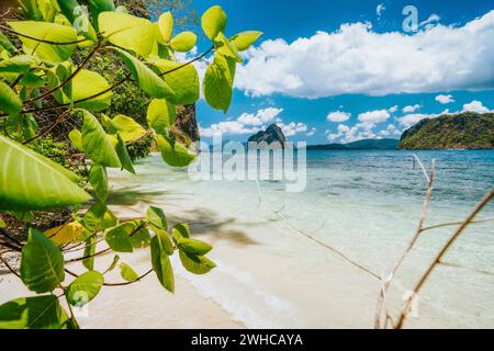 Laub und einsamer Strand mit Blick auf die Insel Pinagbuyutan. El Nido, Palawan, Philippinen. Stockfoto