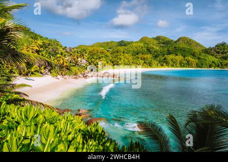 Mahe Island, Seychellen. Urlaubsziel am wunderschönen exotischen tropischen Strand von Anse intendance. Die Meereswelle rollt in Richtung Sandstrand mit Kokospalmen. Stockfoto