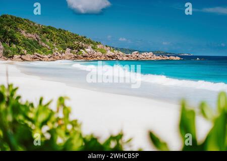 Petite Anse, La Digue auf den Seychellen - tropischer und paradiesischer Strandurlaub. Reisehintergrund. Stockfoto