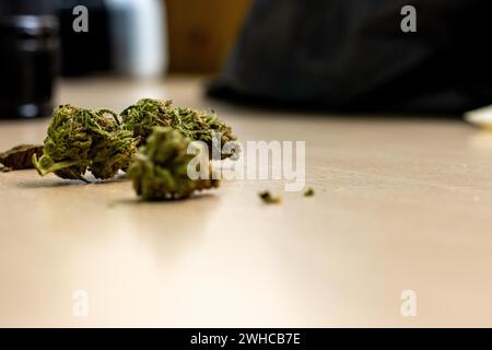 Nahaufnahme medizinischer Marihuana-Knospen. Selektiver Fokus Stockfoto