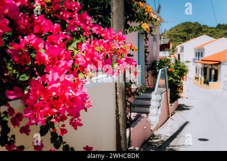 Magenta Blumen auf dem Gehweg in einem kleinen mediterranen Dorf. Traditionelles griechisches Haus auf der Straße mit großen Bougainvillea-Blumen. Stockfoto