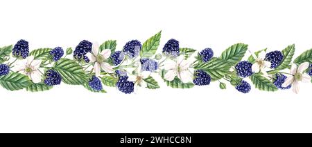 Nahtloser Sommerrand mit aromatischen Brombeeren. Brombeerbündel. Weiße Blumen, reife Beeren, Blätter. Wald- und Gartenbeeren. Dewberry Stockfoto