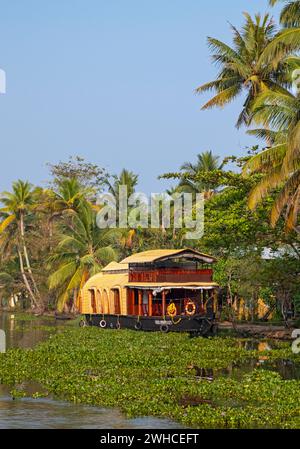 Eine traditionelle Hausboot-Bootstour entlang der Kanäle in der Nähe von Kumarakom bietet eine einzigartige Möglichkeit, die ruhigen Backwaters von Kerala, Indien, zu erkunden Stockfoto