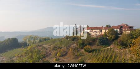 Eine Herbstlandschaft im Weinbaugebiet Langhe im Piemont in Italien Stockfoto